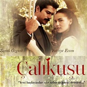 Çalıkuşu (Love Bird)