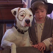 Petey (The Little Rascals, 1994)