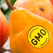 GMO Food