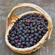 Black Huckleberry