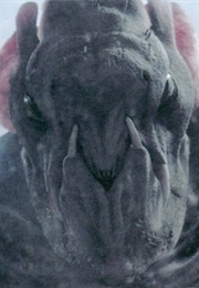 The Monster From Cloverfield - "Cloverfield" (2008)