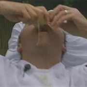 Jackass: "S3.E1" (S3,E1)