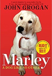 Marley & Me (John Grogan)
