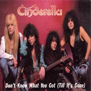 Don't Know What You've Got (Til It's Gone) - Cinderella