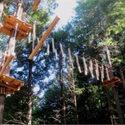 Aerial Obstacle Course