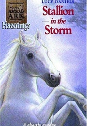 Stallion in the Storm (Lucy Daniels)