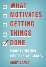 What Motivates Getting Things Done (Mary Lamia)