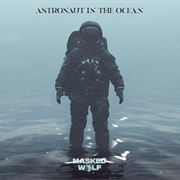 Astronaut in the Ocean