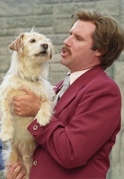 Ron Burgundy (Anchorman: The Legend of Ron Burgundy/The Legend Continues) (2004), (2013)