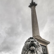 Nelson's Column and Lions