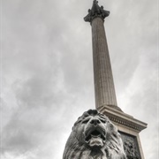 Nelson&#39;s Column and Lions
