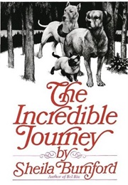 The Incredible Journey