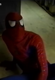 Spider-Man: Attack of the Octopus (2002)