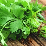 Coriander / Cilantro