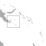 Panniet Naked-Backed Fruit Bat