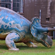 Louisville Triceratops
