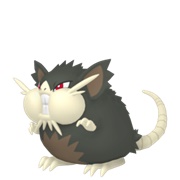 Raticate (Alolan)