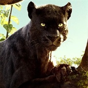 Bagheera (2016)
