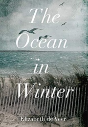 The Ocean in Winter (Elizabeth De Veer)