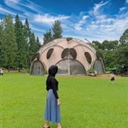 Bogor Botanical Gardens