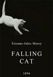 Falling Cat (1894)