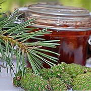 Pine Jam