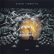 Steve Tibbetts - The Fall of Us All