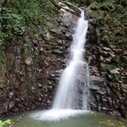 Enbas Saut Rainforest Trail & Waterfalls, St. Lucia