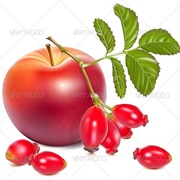 Apple and Rosehips