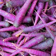 Purple Carrots