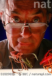 Natural History of an Alien (1998)