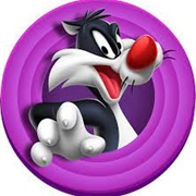 Sylvester