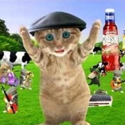 Crusha Kittens Commercial