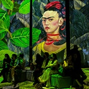 Frida Kahlo Immersive