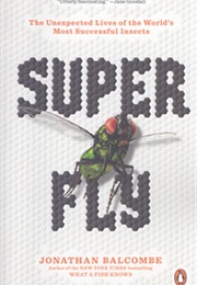Super Fly: The Unexpected Lives of the World's Most Successful Insects (Jonathan Balcombe)