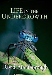 Life in the Undergrowth (David Attenborough)