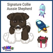 Signature Collie Aussie Shepherd