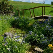 Georgeson Botanical Garden