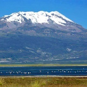 Paucar Del Sara Sara