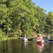 Dunns Creek State Park