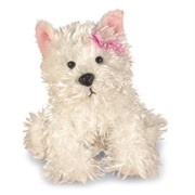 Lil Kinz White Terrier