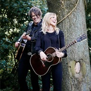 The Common Linnets