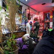 Lost Dog Coffee- West Virginia