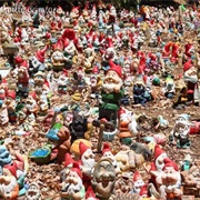 Gnomeville