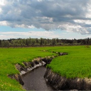 Surrey Bend Regional Park, Surrey, BC, Canada