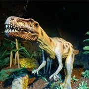 Expo Dino - Dinos Alive, Brussels