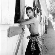 Murder of Sal Mineo