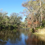 Haw Creek Preserve State Park