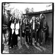 The Rossington-Collins Band