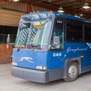 Greyhound Bus